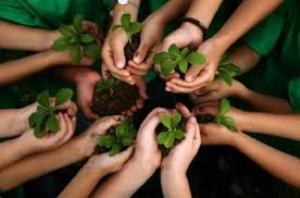 برنامه های هفته محیط زیست در گلستان