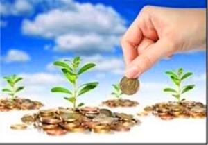 پیشنهاد تخصیص 100 درصدی اعتبارات صندوق بیمه محصولات کشاورزی