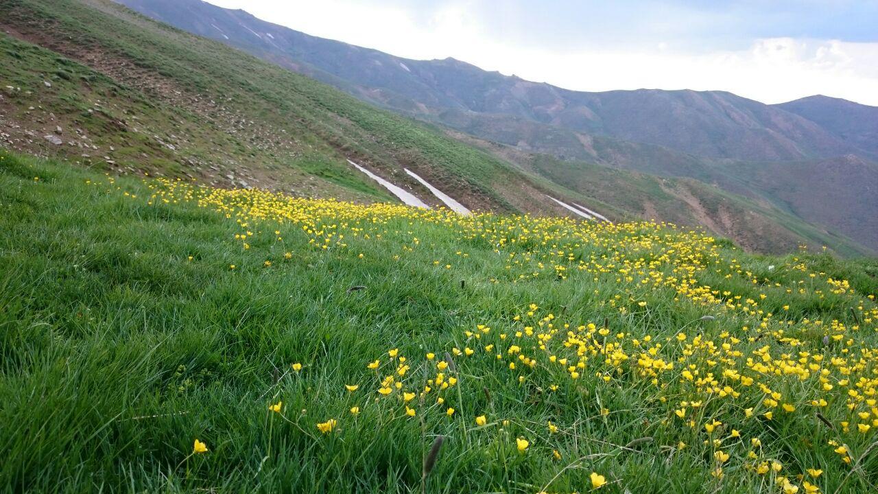 طبیعت زیبای ماه&zwnj;نشان + تصاویر