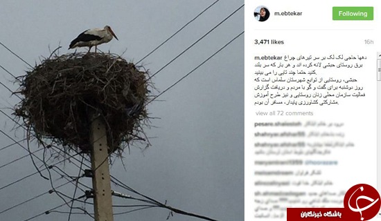 پست اینستاگرامی ابتکار برای لک&zwnj;لک&zwnj;ها + عکس