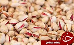 تولید سالانه 15 هزار تن پسته در دامغان