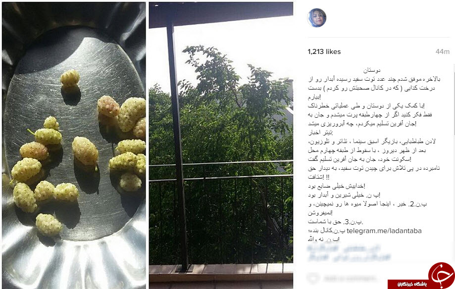 اینستاگردی