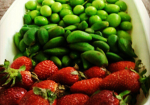 قیمت انواع میوه‌های عادی و بسته بندی + جدول ۱۳۹۵/۰۳/۱۴
