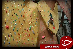 سنگنوردی و المپیک ژاپن سنگنوردی و المپیک ژاپن