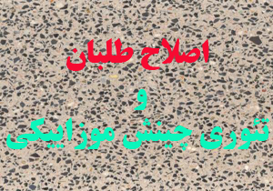 اصلاح&zwnj;طلبان و تئوری 