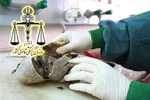 کاهش مرگ ومیر ناشی از تصادفات