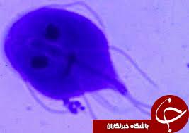میکروب هایی که داخل روده شما زندگی می کنند + تصاویر