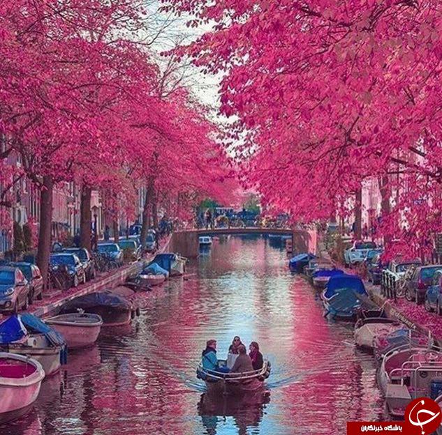 مناظرزیبا ودیدنی به روایت نشنال جئوگرافی +11عکس