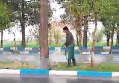 آبیاری شبانه فضای‌های سبز در سمنان
