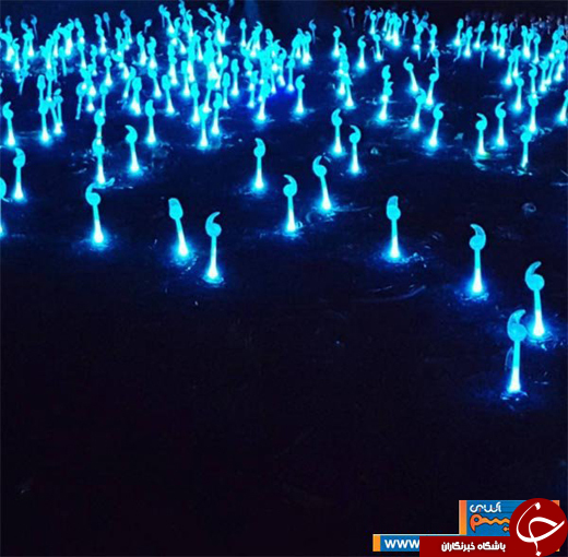 عکس/ سیدنی غرق در نور!