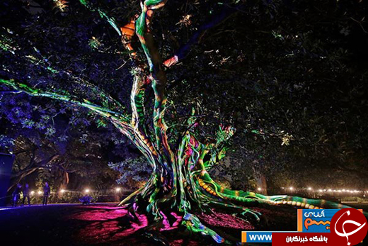 عکس/ سیدنی غرق در نور!