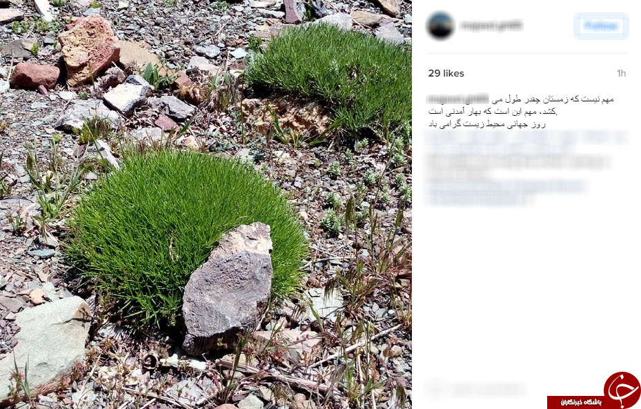 روز جهانی محیط زیست در پست های کاربران+تصاویر