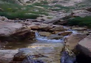 سیبستان بهشتی در استان البرز + فیلم