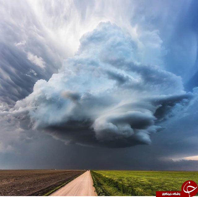 نگاهی به تصاویر دیدنی وشگفت انگیز نشنال جئوگرافی