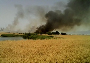 دود شدن حاصل دسترنج یک سال در چشم برهم زدنی + فیلم