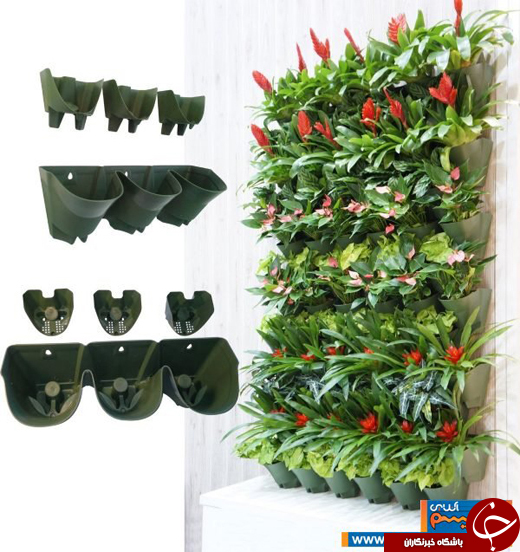 عکس/ روش&zwnj;های فوق العاده&zwnj;&zwnj;ی آبرسانی برای گیاهان آپارتمانی