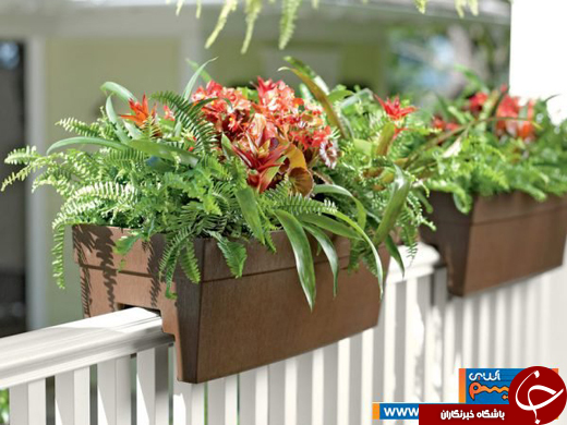 عکس/ روش&zwnj;های فوق العاده&zwnj;&zwnj;ی آبرسانی برای گیاهان آپارتمانی