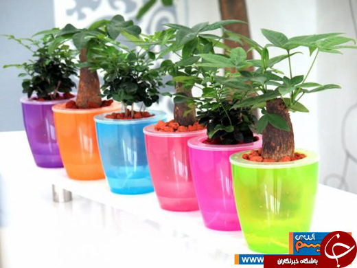 عکس/ روش&zwnj;های فوق العاده&zwnj;&zwnj;ی آبرسانی برای گیاهان آپارتمانی