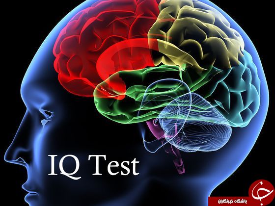 هوش (IQ) خود را بالا ببرید + آموزش