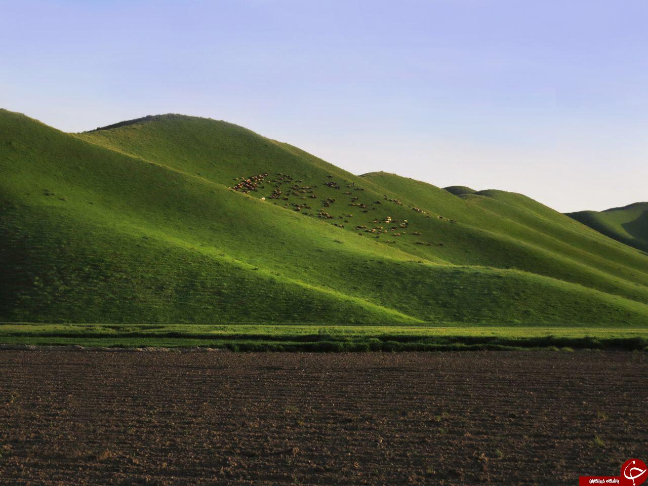 قاب عکس های زیبای طبیعت درصحفه نشنال جئوگرافی +10 عکس