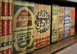 زبان عربی روبه رشد ترین زبان در آمریکا