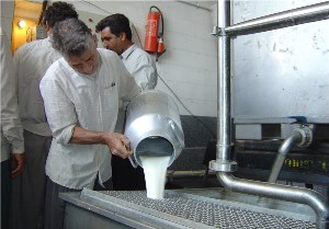 آغاز خرید تضمینی شیر در استان مرکزی