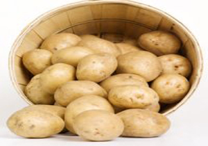 سیب‌زمینی را حتما با پوست بخورید