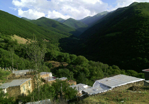 طبیعت سرسبز و دلنشین روستای نمنق + تصاویر