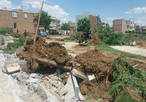 از ریشه درآوردن درختان یک بوستان در پیرانشهر + تصاویر