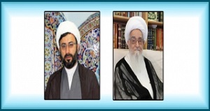 دیدار مسئول مرکز اسلامی "هوستون" آمریکا با  آیت الله صافی گلپایگانی
