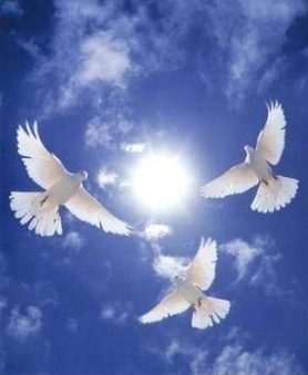 پدر شهید حسینی به فرزند شهیدش پیوست