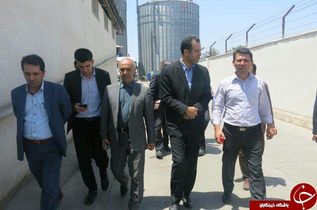 مراکز خرید و ذخیره سازی گندم زیر ذره بین + تصاویر