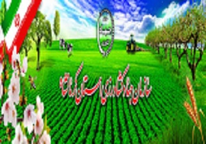 پیش بینی برداشت 55 هزار تن گندم  از مزارع گیلان‌غرب