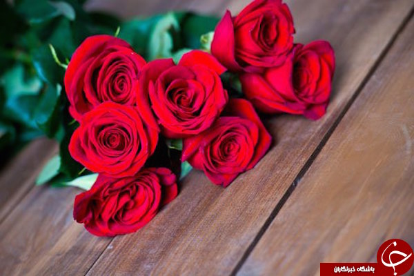 با این ادکلن های طبیعی همسرتان را همیشه به خود علاقمند نگه دارید