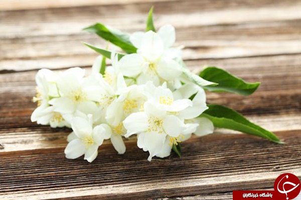 با این ادکلن های طبیعی همسرتان را همیشه به خود علاقمند نگه دارید