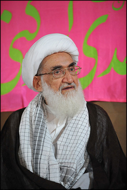 تاریخ علمای بزرگ آموزنده و تاثیرگذار است