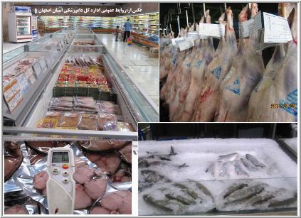 آغاز طرح نظارت بر عرصه مواد دامی و پروتئینی در همدان