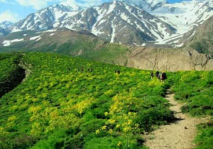 فتح قله کوه الیگودرز توسط کوهنوردان قمی