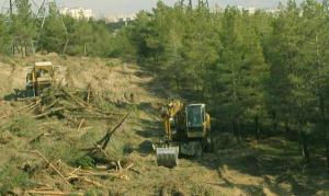 استاندار گلستان؛ مجازات برای متخلفان محیط زیست