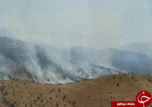 مهار آتش سوزی تنگ خرسی پاسارگاد