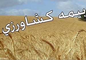 کشاورزان از بیمه محصولات کشاورزی دلسرد شدند