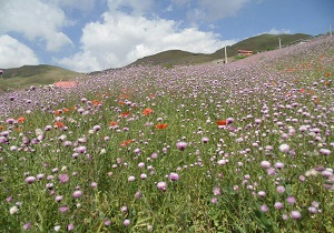 جلوه‌ای از قدرت خداوند در طبیعت + تصاویر