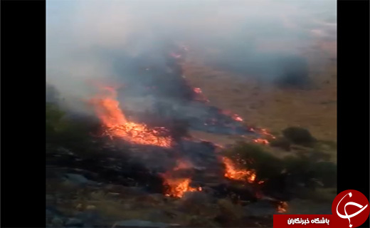 اعزام هواپیمای آبفشان برای مهار آتش در تنگ بلاغی + تصاویر اعزام هواپیمای آبفشان برای مهار آتش در تنگ بلاغی + تصاویر