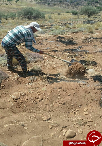 آتش سوزی تنگ خرسی پاسارگاد به روایت تصویر