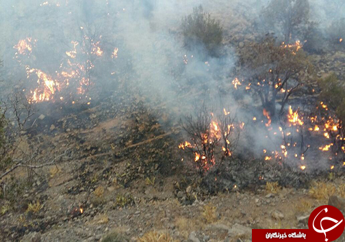 آتش سوزی تنگ خرسی پاسارگاد به روایت تصویر