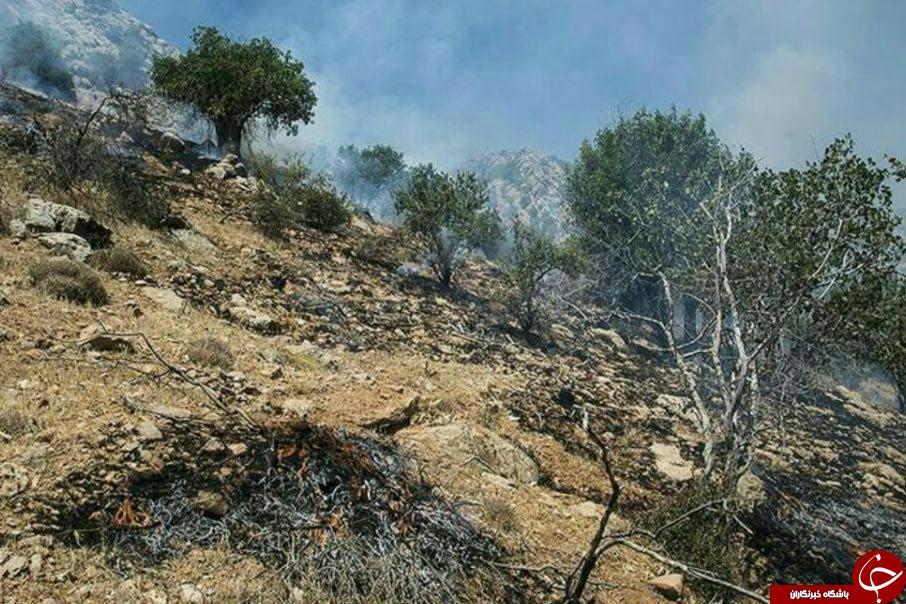 بخشی از منطقه جنگلی کبیرکوه آبدانان طعمه حریق شد + تصاویر