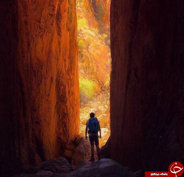 تصاویر جالب ودیدنی نشنال جئوگرافی