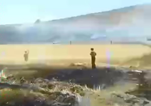 مساحت وسیعی از مزارع گندم طعمه حریق شد + فیلم