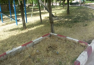 پارکی که محتاج چندقطره آب است! + فیلم
