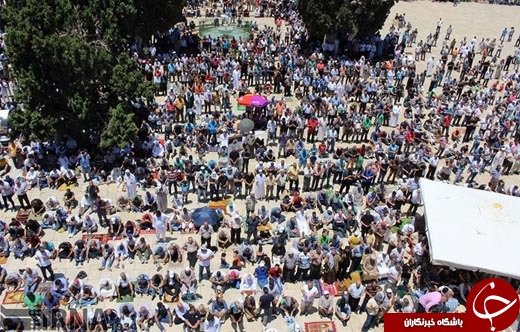عکس/ نماز جمعه در مسجد الاقصی &lrm;